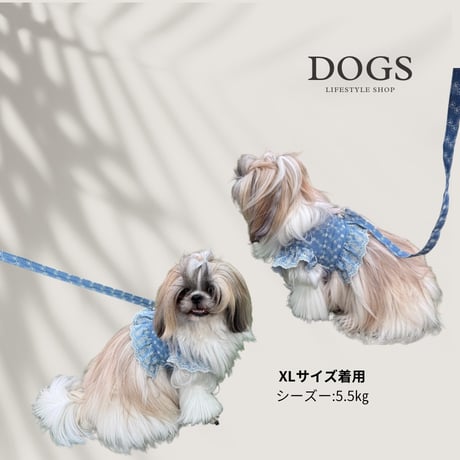 DOGSフリルデニムハーネス　DOGS Frill Denim Harness