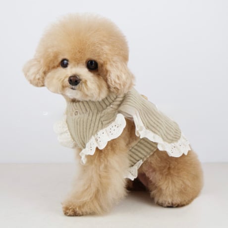 DOGS ナチュラルレースフリルニット　DOGS Natural Lace Knit