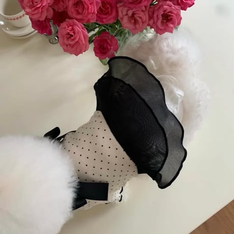 DOGSブラックリボンドット　①ティーシャツ②オールインワン③ワンピース