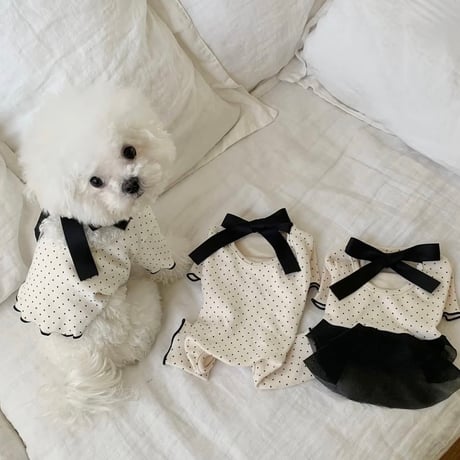 DOGSブラックリボンドット　①ティーシャツ②オールインワン③ワンピース