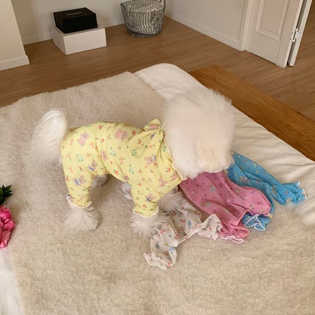 DOGS エアリーメッシュ虫除けウェア　DOGS Airy Mesh Bug Repellent