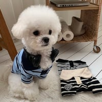 DOGS ラガーボーダートップス