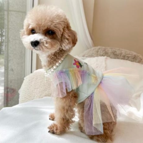 DOGS チュールスカート　DOGS Tulle Skirt