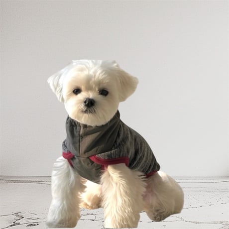 CATEGORY FEATURE/PICKUP | DOGS LIFESTYLE SHOP