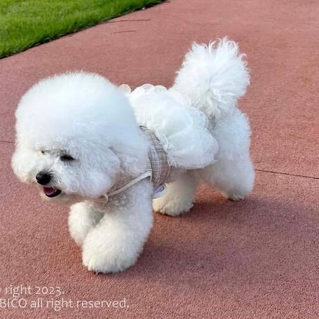 DOGSツイードチュールハーネス　DOGS Tweed Tulle Harness