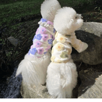 DOGSフラワーボアフリル　DOGS Floral Fleece Frill Top