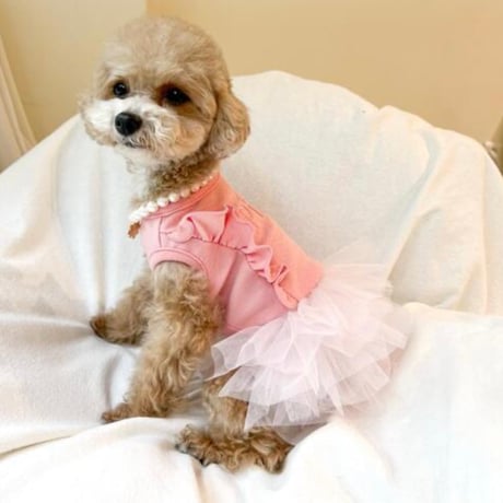 DOGS チュールスカート　DOGS Tulle Skirt
