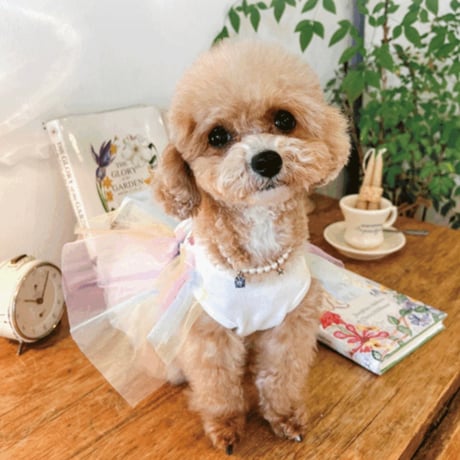 DOGS チュールスカート　DOGS Tulle Skirt