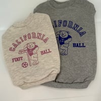 DOGSカリフォルニアベアー　DOGS California Bear