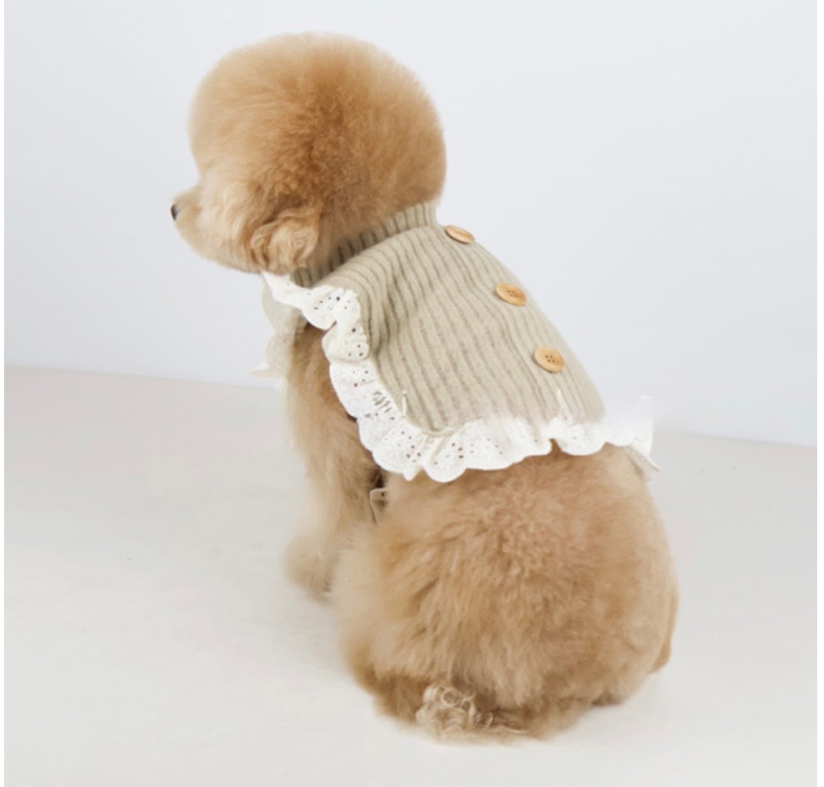 DOGS ナチュラルレースフリルニット DOGS Natural Lace Knit | DO