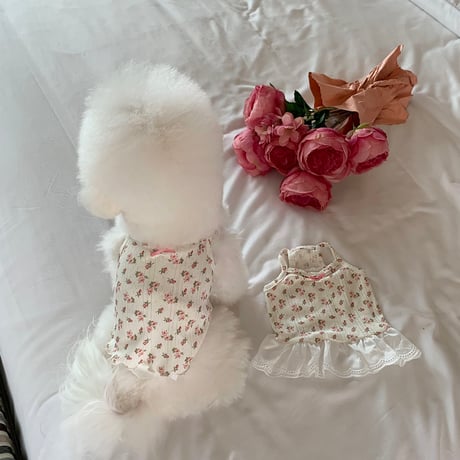 DOGS フラワーフリルトップス　DOGS Floral Frill Top