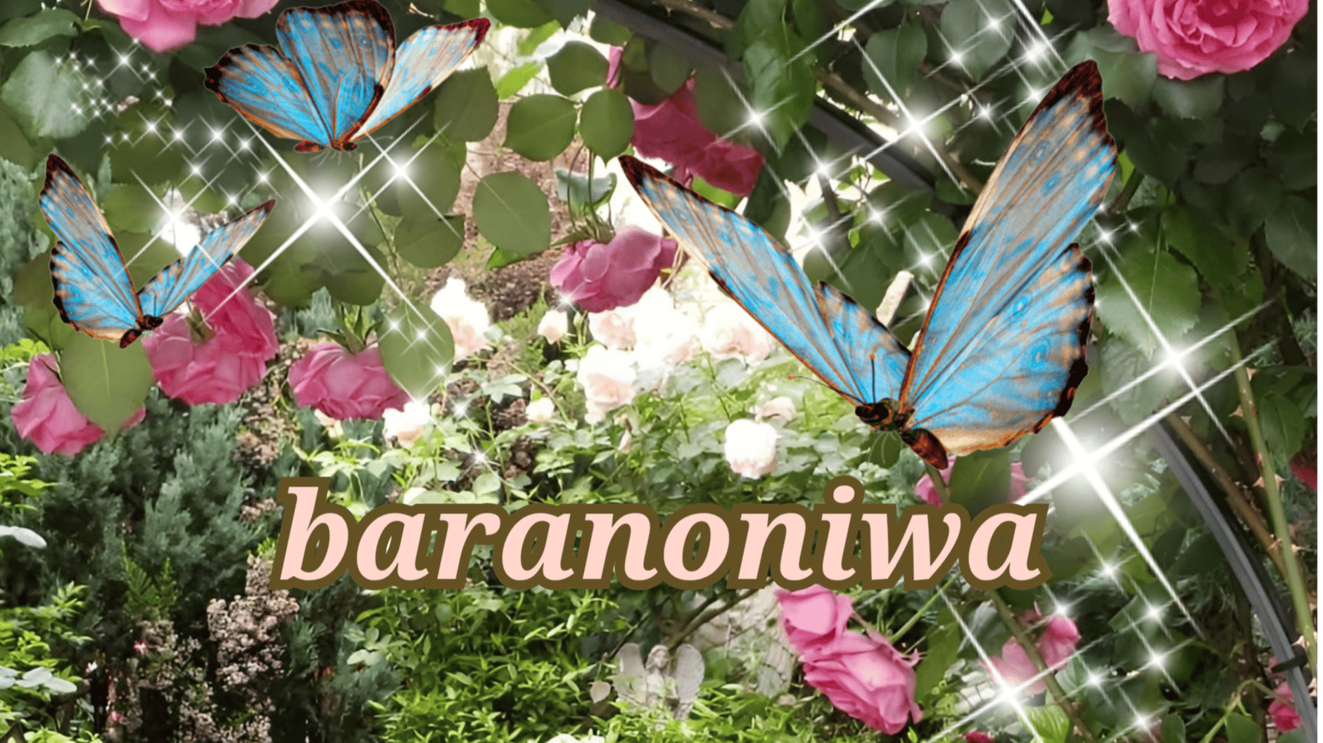 baranoniwa
