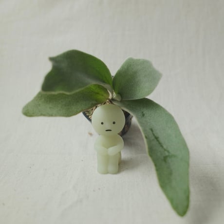 ハクナマタタさま専用 ゼナック】 グランツ 80-25X ZENAQ GLANZ バス ベイトモデル