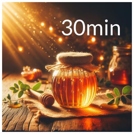 リモートセッション：30分