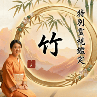 【竹】特別霊視鑑定（一番人気・総合鑑定プラン）
