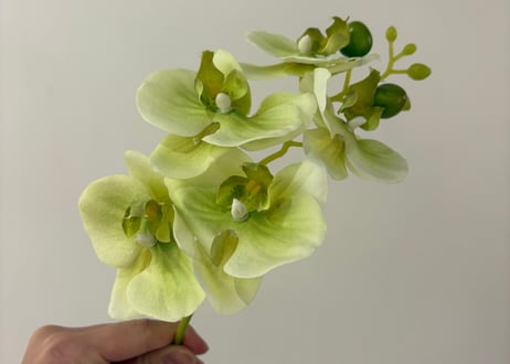 ITEM | Artificial flowers kiki