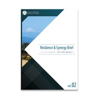 Resilience & Synergy Brief vol.02