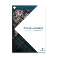 Resilience & Synergy Brief vol.03