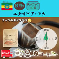 エチオピア・モカ浅煎り　ドリップバック１0個セット