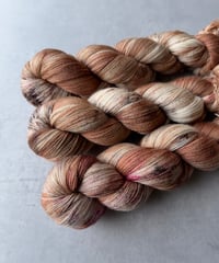Lace / Caramel Praline