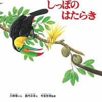 しっぽのはたらき