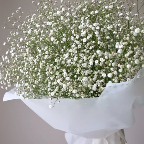 【かすみ草】おまとめ3点 かすみ草 10本【季節のお花】 | 花のギフト通販なら花百花 ‐hanahyakka‐