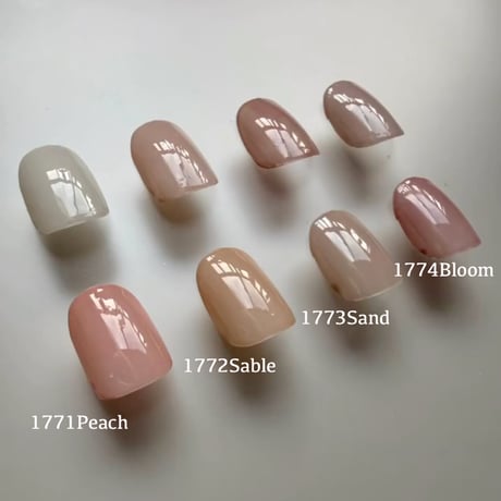 ヌーディーブレンディング コンテナ 4色B