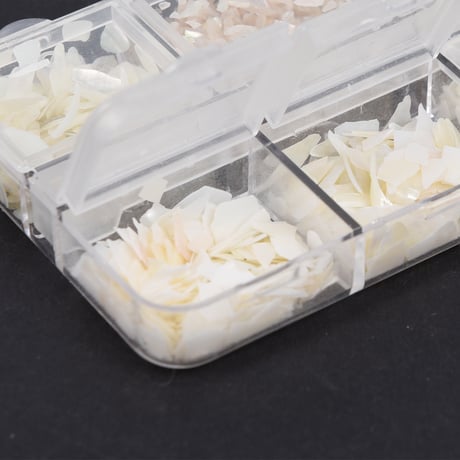 エッセンシャル 6色セット | 天然シェル