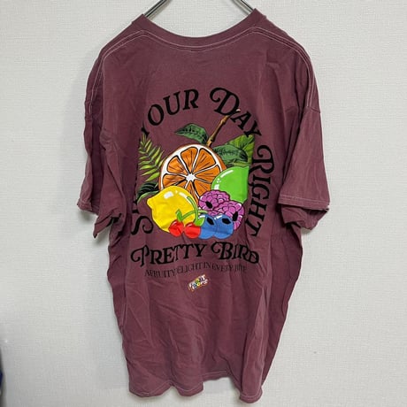 ケラノバ ケロッグス パープル Tシャツ バード 鳥 キャラクター XL