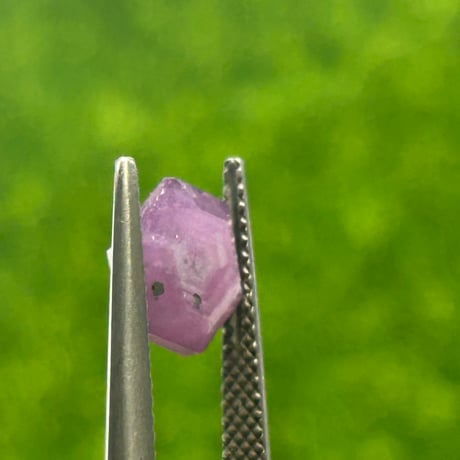 薔薇のカットのルビー