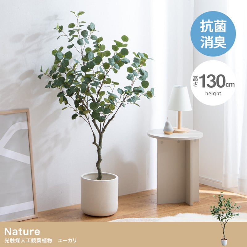 高さ130cm】Nature 光触媒人工観葉植物 ユーカリ【送料無料】 | NOIR BLANC