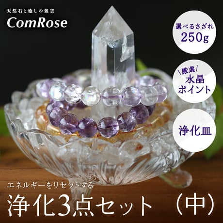 浄化セット | STORES