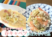 【動画受講】春キャベツのサーモンチャウダー＆春キャベツとエビの白和え＋α