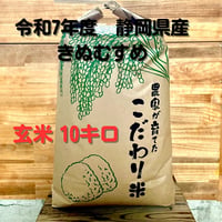 送料無料】 令和7年度 静岡県産 きぬむすめ 10kg 玄米 | すずきふぁーむ