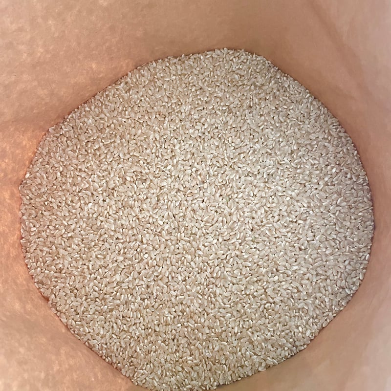 静岡県産 きぬむすめ 玄米 10kg