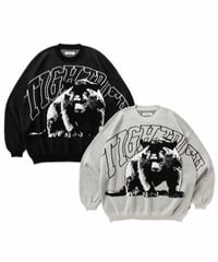 𝐓𝐈𝐆𝐇𝐓𝐁𝐎𝐎𝐓𝐇 | TBPR / PANTHER KNIT SWEATER | Ash