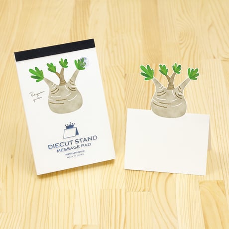 パキポディウム | STORES