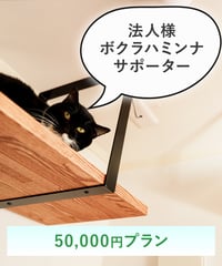 ボクラハミンナ サポーター 法人プラン ¥50,000プラン