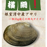 【特大サイズ！贅沢の極み】横綱アサリ500g