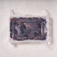 【北海道の味】タラバガニ外子 500g｜ぷちぷち弾ける“海の宝石”