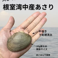 【大サイズ！BBQ網で焼こう！】根室湾中産アサリ500g