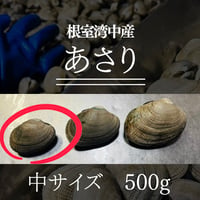 【中サイズ！酒蒸し最高！】根室湾中産アサリ500g