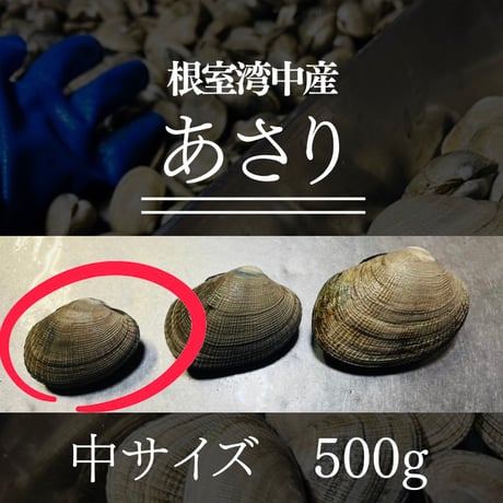 【中サイズ！酒蒸し最高！】根室湾中産アサリ500g