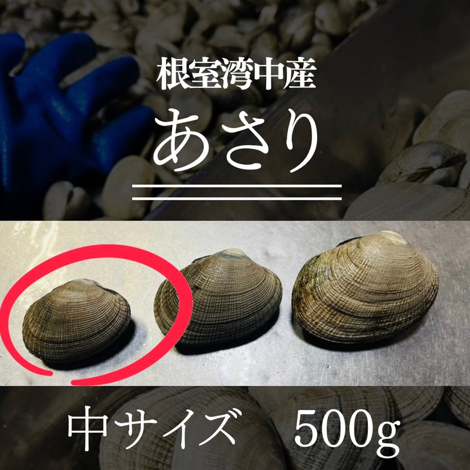69d0d6dbe126f8bea2dff7b5