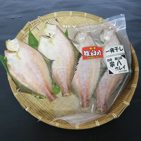 【浜風で干した北海道の味】宗八がれい一夜干し 2枚｜ふっくら旨い、香ばしい北の定番