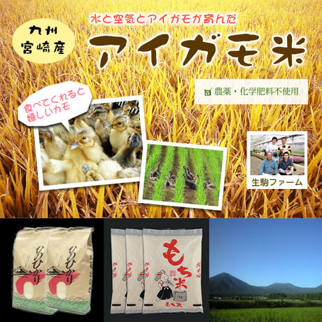 みやざき地どれ市場