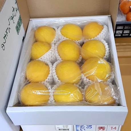 みやざき地どれ市場