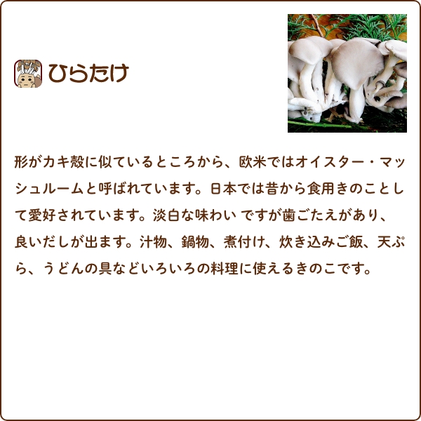 無農薬栽培】綾きのこ豪華セット〈中〉（クール便）しげながきのこ綾
