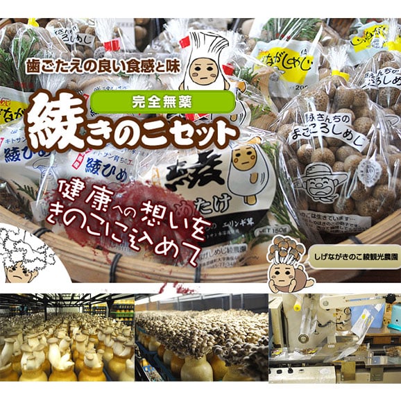 無農薬栽培】綾きのこ豪華セット〈中〉（クール便）しげながきのこ綾