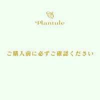 【ご購入前に必ずご確認ください】